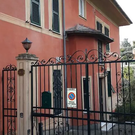 Il Cigno